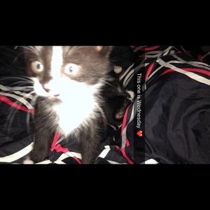 Meet your Posher, Cherie